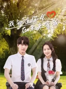 我知道你会在未来等我