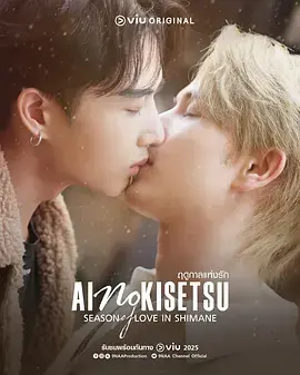 《爱情季节》全集高清完整版在线观看与剧情解析