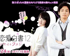 《福冈恋爱白书12》全集高清完整版在线观看与剧情解析