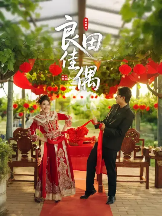 《良田佳偶》全集高清完整版在线观看与剧情解析