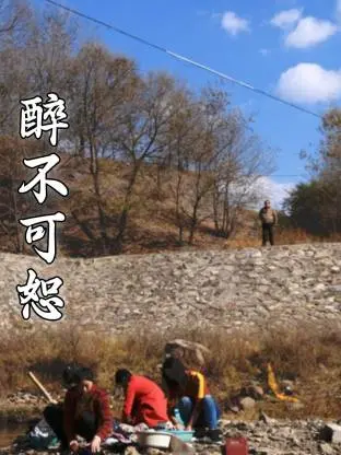 《醉不可恕》全集高清完整版在线观看与剧情解析