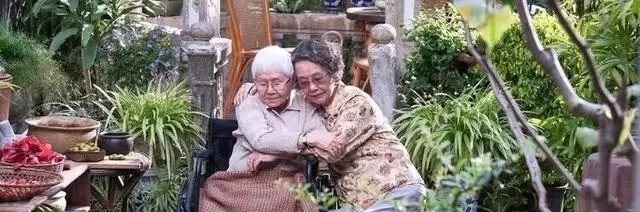 潮语电影《给阿嬷的情书》票房破6000万，侨批题材引发跨地域共鸣 | 情报图